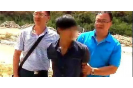 泾川融资清欠服务